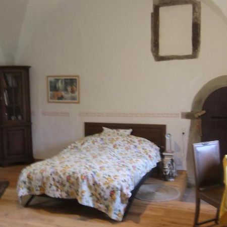 Schloss Hoellrich Karsbach Ngoại thất bức ảnh